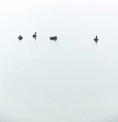 Photocircle Poster / Leinwandbild - Floating Between Fog and Sea