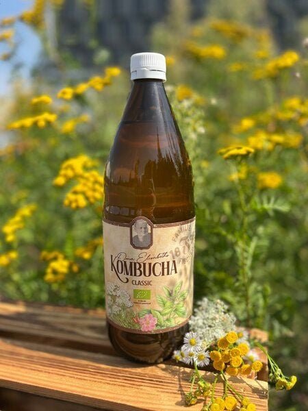 Familie Fischer Bio-Kombucha Traditioneller Bio-Kombucha (3x 1L) Pfefferminz/Kräuter, Ohne Zucker, Nicht Filtriert, Nich...