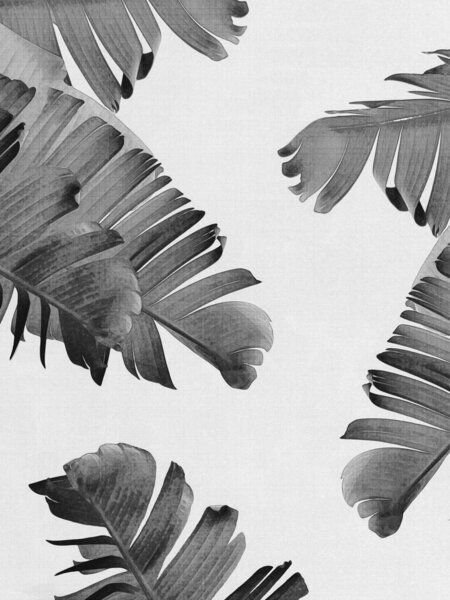 Photocircle Poster / Leinwandbild - Tropical 4