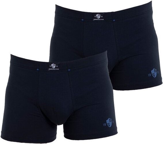 Haasis Bodywear Herren Pants 2er Pack ohne Eingriff, Single Jersey,