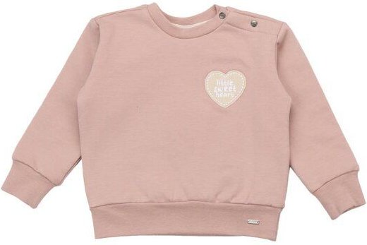 Walkiddy Bio-Baumwolle Kindersweatshirt - Tiny Flowers Pink - Nachhaltig & Hautfreundlich – GOTS zertifiziert