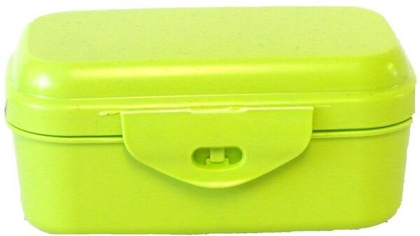 Biodora Grüne Aufbewahrungsbox mit Scharnierverschluss