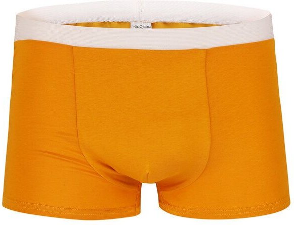 Frija Omina in 6 Farben: Trunk Shorts hell