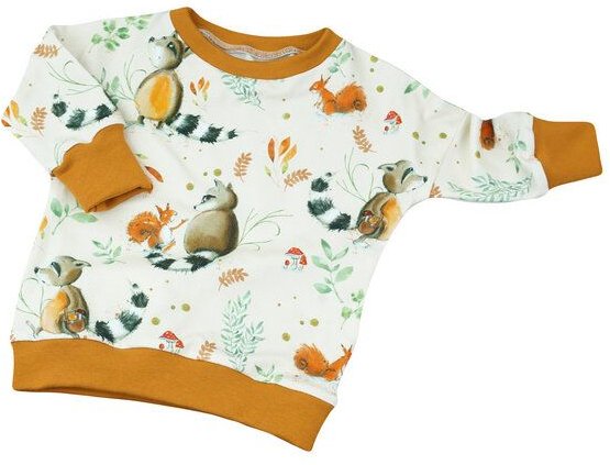 Sternchenwolke BIO Langarmshirt "Fridoline"