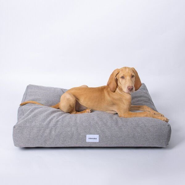Caruso Conscious Pet Supply Hundebett - Easy Clean Grau - aus Upcycling- und Recyclingmaterial - mit wasserabperlendem B...