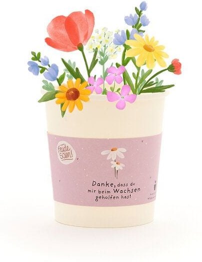 Die Stadtgärtner Wildblumen-Anzuchtset als Dankeschön-Geschenk | Nachhaltige Geschenkidee für Abschiede, Geburtstage & W...