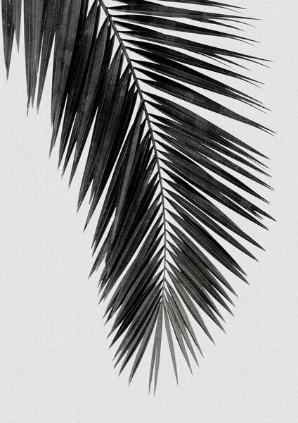 Photocircle Wandbild / Kunstdruck / Poster / Leinwand - Palm Leaf Black & White I