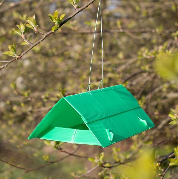 Andermatt Biogarten Apfelwickler-Falle – Monitoring-Falle zur Kontrolle des Apfelwicklers