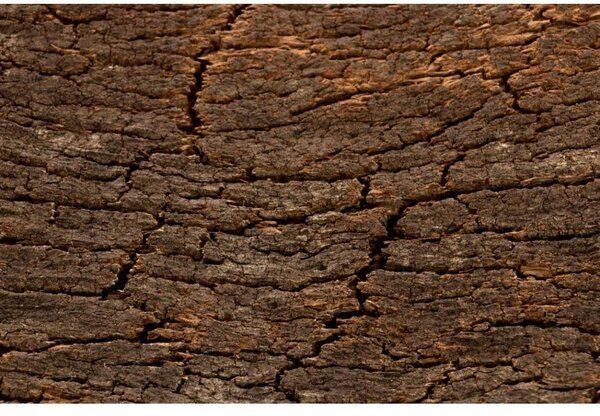 Thumbnail - Kork-Deko 227,50 EUR/qm Korkrückwand aus einem Stück Kork-Rinde 60x30 cm