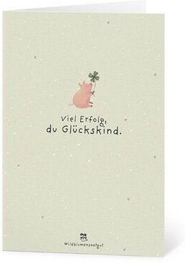 Die Stadtgärtner Grußkarte mit Saatpapier und Umschlag I Karte für Prüfungen, Zuversicht & Neuanfänge I Saatpapier enthä...