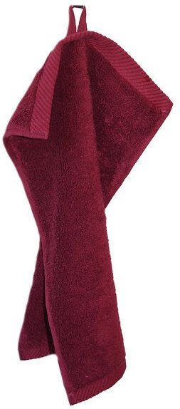 ege organics 2 Stück Gästetuch Handtuch Bio-Baumwolle 30X50cm 600gr/m²