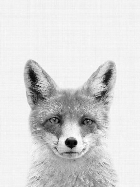 Photocircle Poster / Leinwandbild - Fox (Black and White)