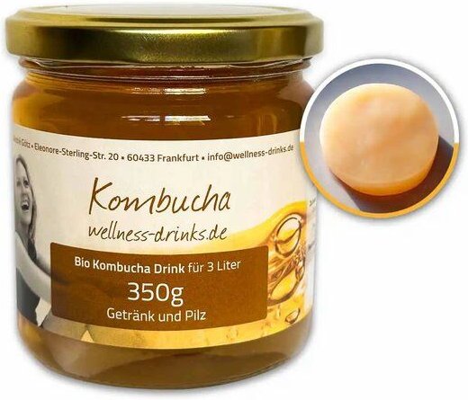 Wellness-Drinks Bio Kombucha Drink mit Teepilz (mittel)
