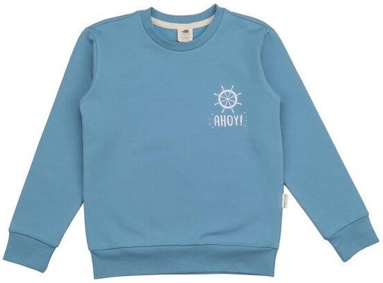 Kinder Sweatshirt GOTS-zertifiziert aus Bio-Baumwolle hellblau mit Wal-Motiv – Walkiddy
