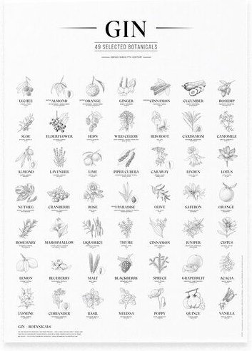 531 Rheinland Design Gin Plakat, 49 ausgewählte Kräuter Botanicals Gin Aromen als Poster