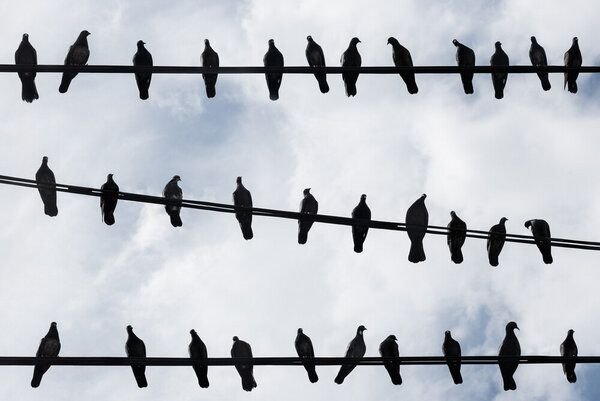 Photocircle Poster / Leinwandbild - Birds Eye View