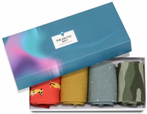 The Arctic Bay Die Arctic Box - Kalahari Edition - 4 Paar Socken
