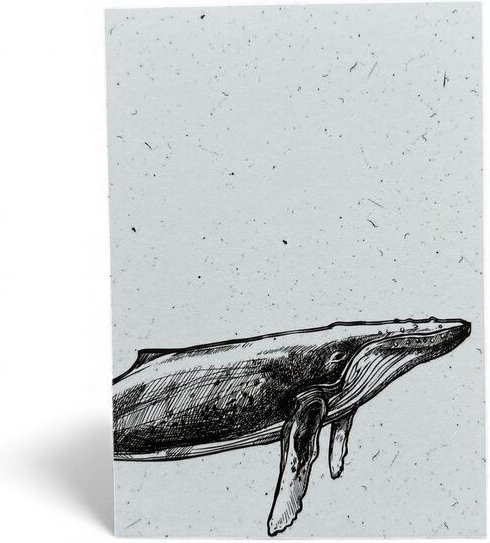 ilovemixtapes Postkarte „Whale“ – Minimalistisches Walmotiv in Schwarz-Weiß für Meer- & Designliebhaber