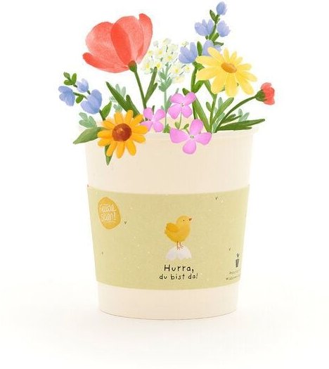 Die Stadtgärtner Wildblumen-Anzuchtset als Babygeschenk | Nachhaltige Geschenkidee für Geburten, Babypartys & Taufen