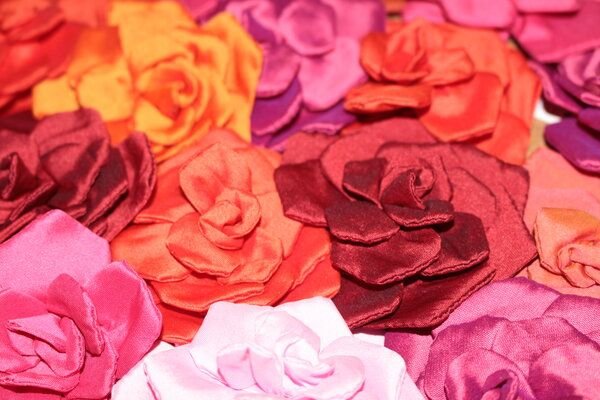 Schönes aus Indochina Seidenrose