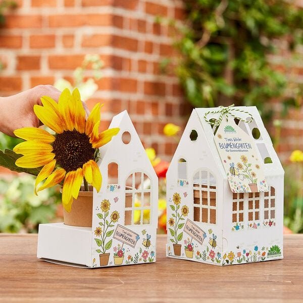 Gewächshaus Timos Wilder Blumengarten von "Die Stadtgärtner"