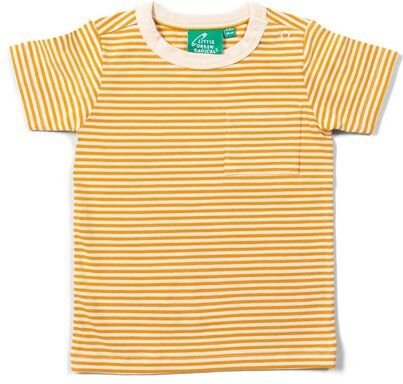 Little Green Radicals Kinder T-Shirt mit gelben Streifen – Fairtrade & GOTS-zertifiziert