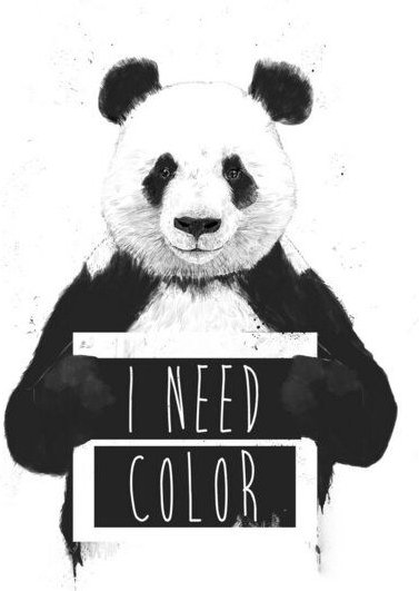 Photocircle Poster / Leinwandbild - I need color