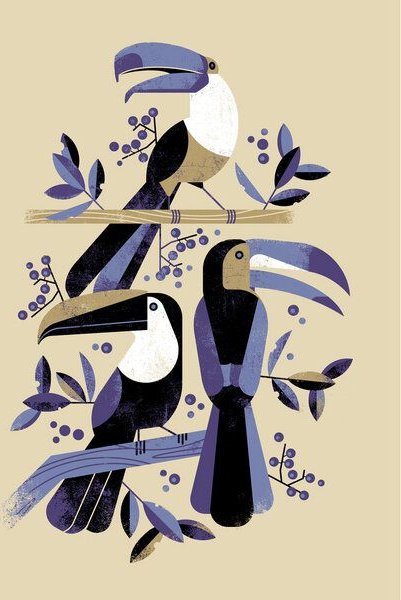 Photocircle Poster / Leinwandbild - Tukan