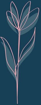 Photocircle Poster / Leinwandbild - Bloom