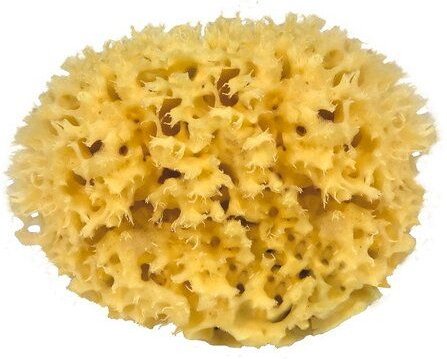 Croll & Denecke Naturschwamm Medium