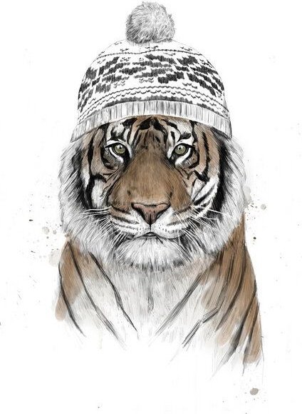 Photocircle Poster / Leinwandbild - Siberian tiger