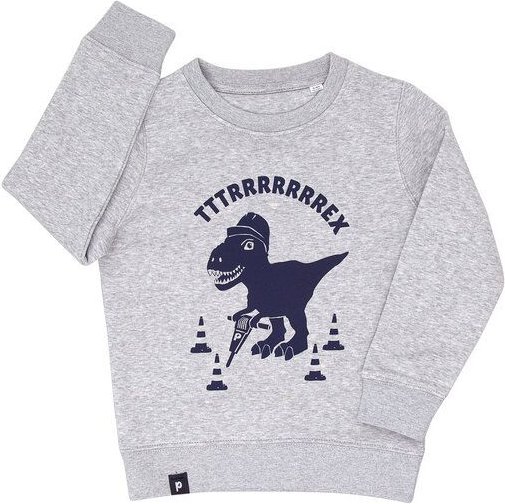 päfjes Theo Tttrrrrex der Bauarbeiter Dino - Fair Wear Kinder Sweater