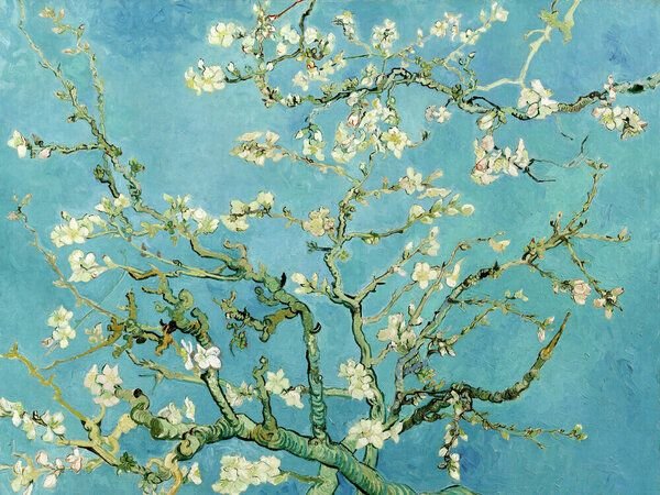 Photocircle Poster / Leinwandbild - Vincent van Gogh: Mandelblüte