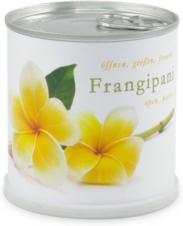 MacFlowers Blumen in der Dose Frangipani - Plumier