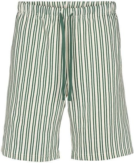 Conservandum Herren Shorts