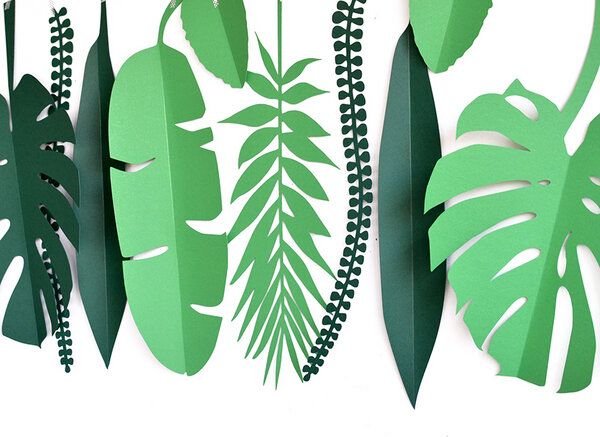 renna deluxe Tropen Monstera, Palme, Wanddekoration