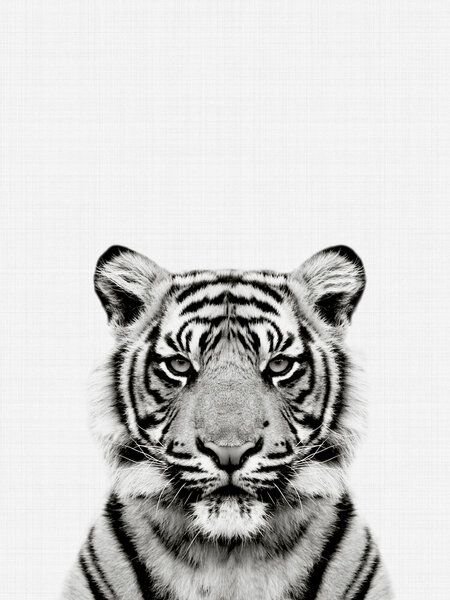 Photocircle Poster / Leinwandbild - Tiger (Black and White)
