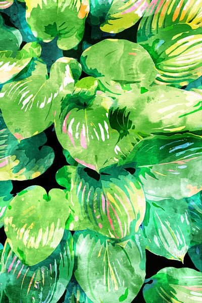 Photocircle Poster / Leinwandbild - Colors Of The Jungle