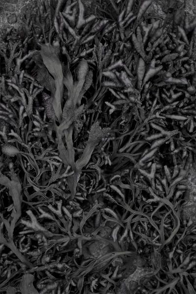 Photocircle Poster / Leinwandbild - Love from the Sea