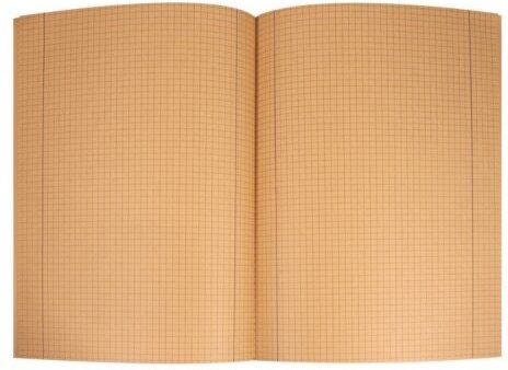 pandoo Schulhefte aus 100% Bambuszellstoff | kariert oder liniert