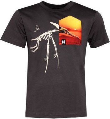 Kinder T-Shirt Rundhals aus Bio-Baumwolle "Pteranodon BT" Grau Fädd