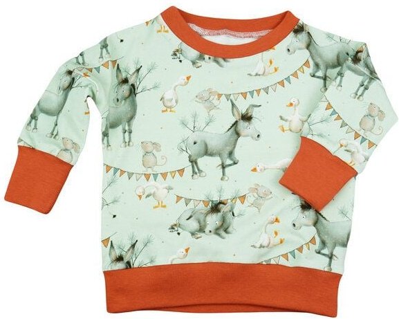 Sternchenwolke BIO Langarmshirt "Drei Freunde"