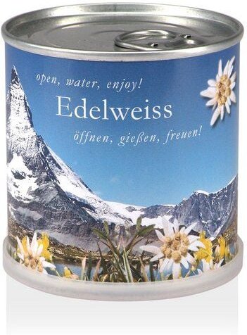 MacFlowers Pflanzen in der Dose - Edelweiss