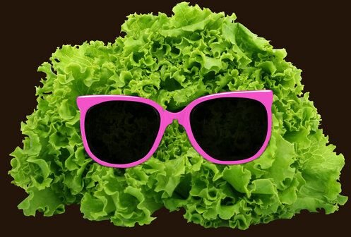 Photocircle Poster / Leinwandbild - Mr. Salad