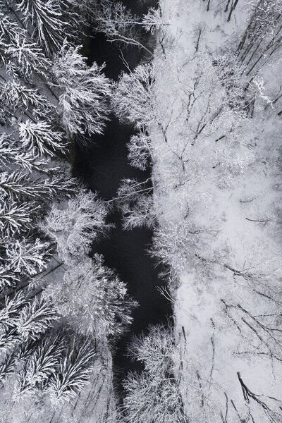 Photocircle Poster / Leinwandbild - black river through the snowy winter forest