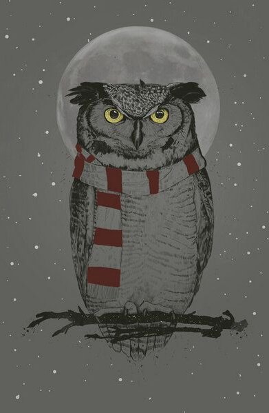 Photocircle Poster / Leinwandbild - Winter owl