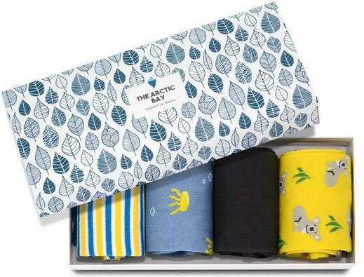 The Arctic Bay Die Arctic Box - Manbarra Edition - 4 Paar Socken