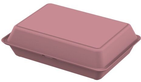 REuse Menübox take away Verpackung - XL ohne Trennstege