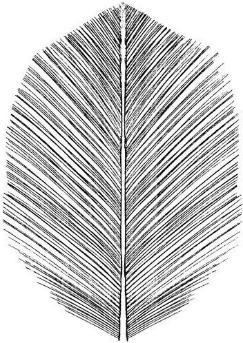 Photocircle Poster / Leinwandbild - Feather