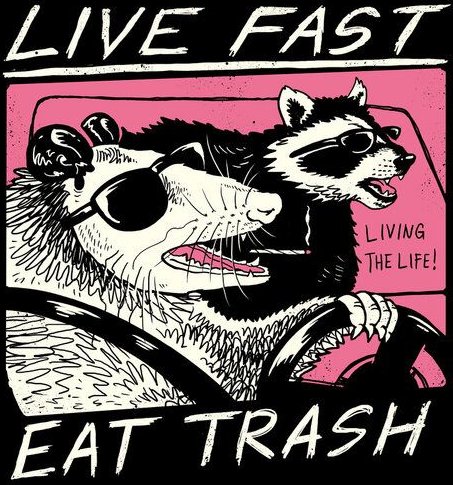 Photocircle Poster / Leinwandbild - Live Fast, Eat Trash